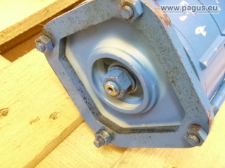 SCHMALENBERGER Eintauchpumpe