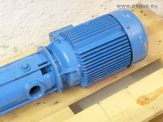 SCHMALENBERGER Eintauchpumpe