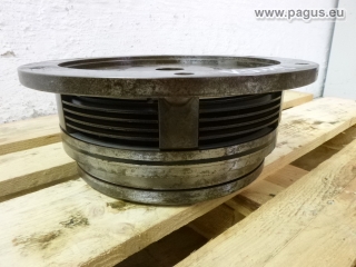 PAGUS Magnetkupplung