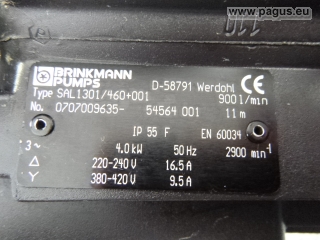 BRINKMANN Eintauchpumpe