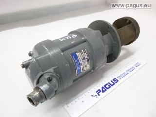 SPANDAU Eintauchpumpe