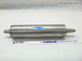 FEMINA Schleifspindel