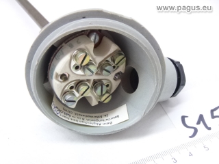 EAW Widerstandsthermometer