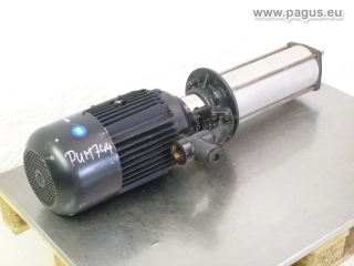 BRINKMANN Eintauchpumpe