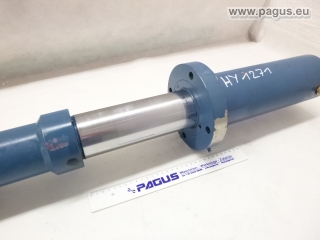 PAGUS Hydraulikzylinder