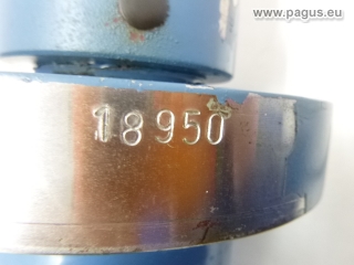 PAGUS Hydraulikzylinder