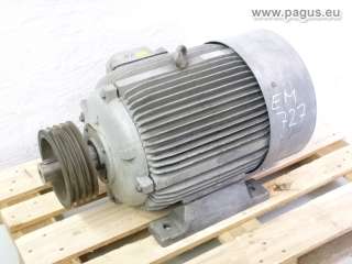 LOHER Elektromotor