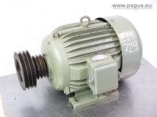 ЗАЕ BULGARIA Elektromotor