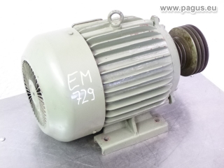 ЗАЕ BULGARIA Elektromotor