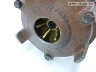 BRINKMANN Eintauchpumpe