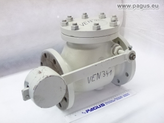 PAGUS Rückschlagklappe