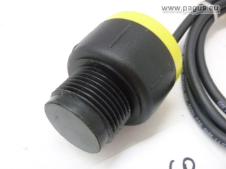 FLOWLINE Ultraschall Niveauschalter