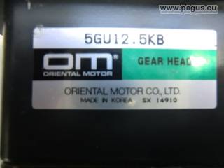ORIENTAL Getriebemotor mit Bremse