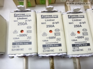 LINDNER NH-Sicherungssortiment