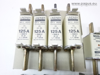 LINDNER NH-Sicherungssortiment