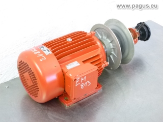 HEW Elektromotor mit Verstellscheibe