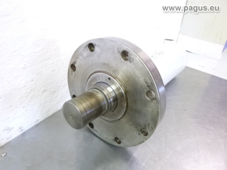 PAGUS Hydraulikzylinder