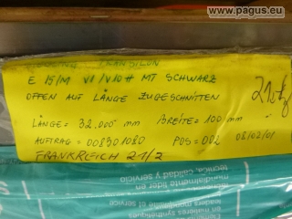 SIEGLING Transportband