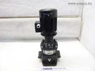 GRUNDFOS Inline-Pumpe