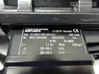 BRINKMANN Eintauchpumpe