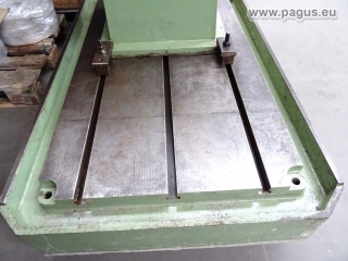 PAGUS Aufspannplatte mit Teilapparat