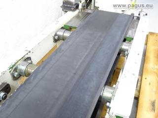 PAGUS conveyor belt