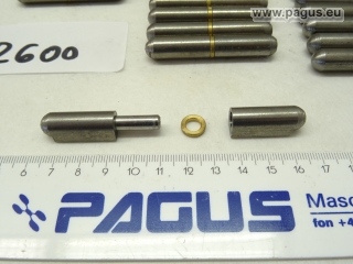 PAGUS Anschweißscharnier mit Stahlstift