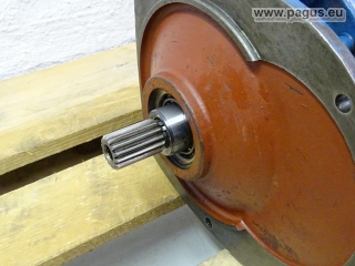 DEMAG Elektromotor mit Bremse