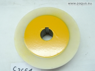 Pagus Schwerlastrolle