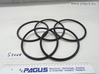PAGUS 0-Ring