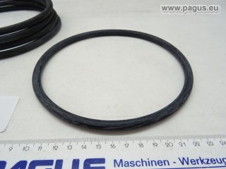 PAGUS 0-Ring