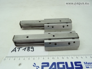 PAGUS Linearführungswagen mit Schiene