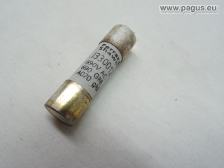 FERRAZ Feinsicherung