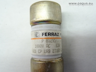 FERRAZ Sicherungseinsatz