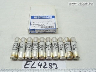 FERRAZ Sicherungseinsatz