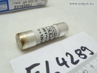 FERRAZ Sicherungseinsatz