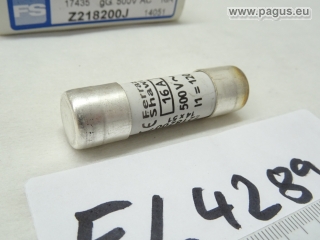 FERRAZ Sicherungseinsatz