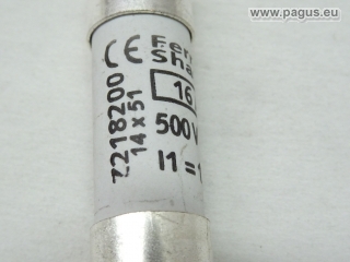 FERRAZ Sicherungseinsatz