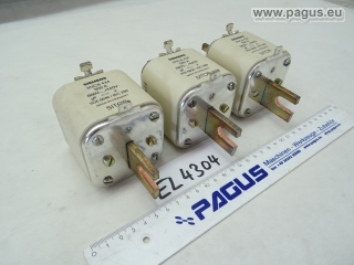 SIEMENS  Sicherungseinsatz