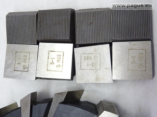 PAGUS Scheibenfräser