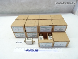 PAGUS Sicherungseinsatz