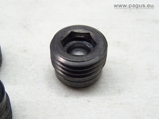 HAWE Rückschlagventil