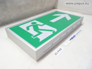 CEAG Sicherheits- und Rettungszeichenleuchte