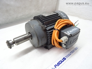 SEW Elektromotor