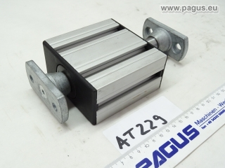 PAGUS linear guide