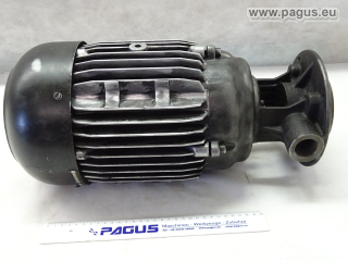 BRINKMANN Elektromotor