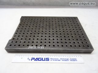 PAGUS Aufspannplatte