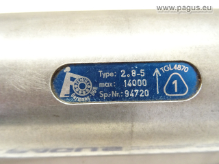 FEMINA Schleifspindel