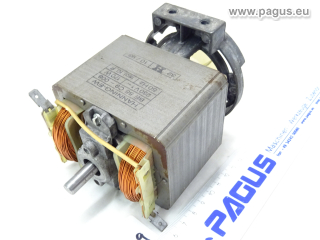 HANNING Ersatzmotor für Laugenpumpe