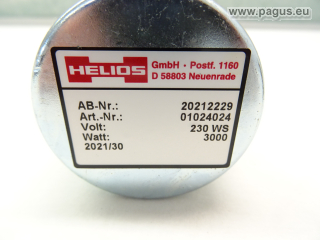 Heizpatrone 3000 W